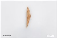 藏品(魚卡子)的圖片